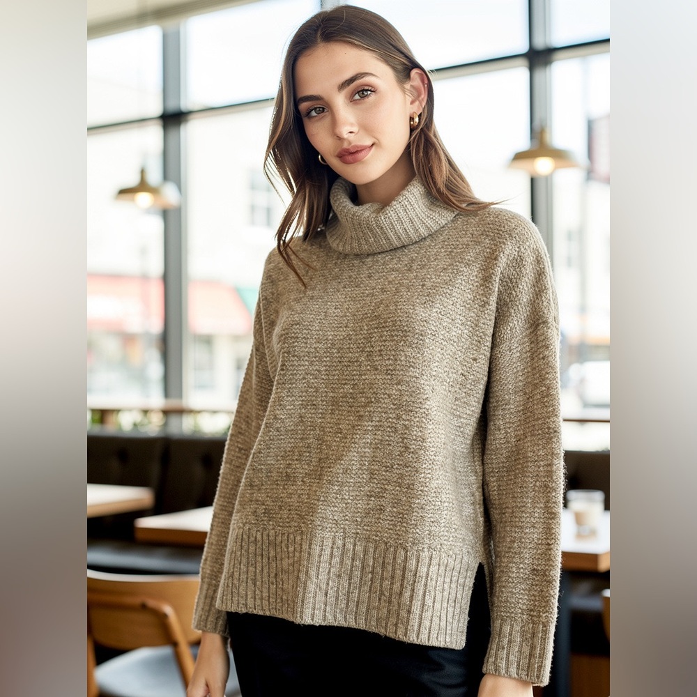 Madewell Merino Alpaca Turtleneck Sweater Oatmeal S